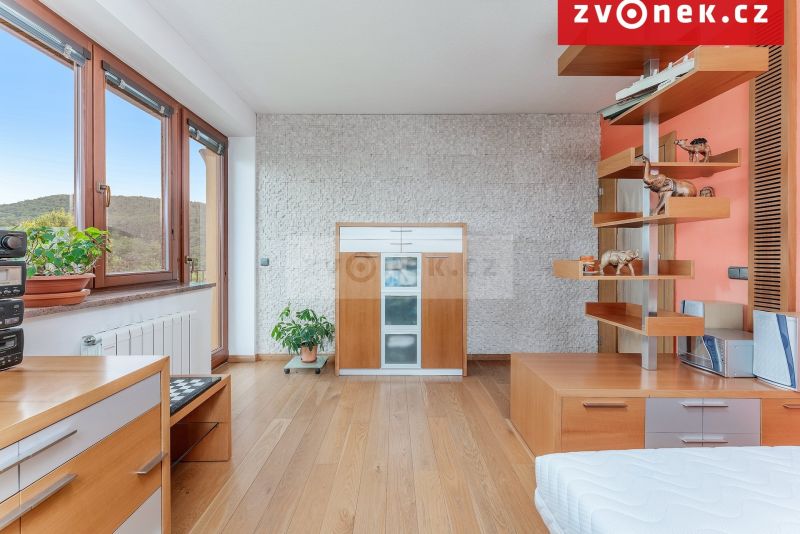 Víceúčelová vila 540 m², Hranice I-Město