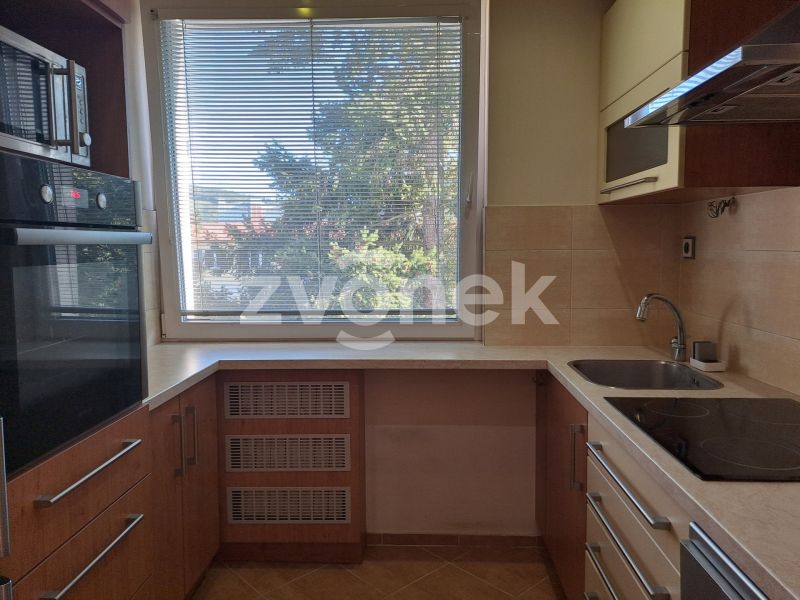 Pronájem bytu 2+1 48 m², Zlín