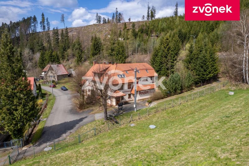 Prodej nemovitosti pro ubytování 1 086 m², Horní Bečva