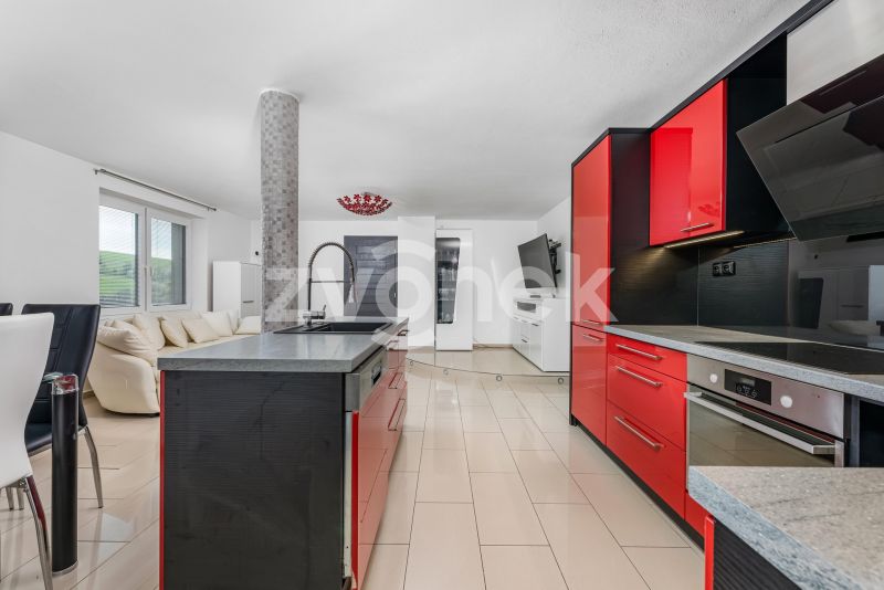 Prodej rodinného domu 258 m², Všemina
