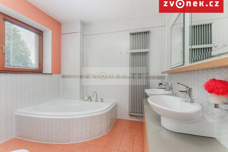 Víceúčelová vila 540 m², Hranice I-Město
