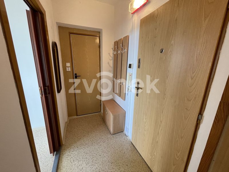 2+1 s překrásným výhledem na Zlín, Podlesí