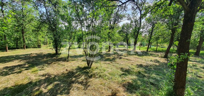 Prodej rodinného domu 300 m², Tečovice
