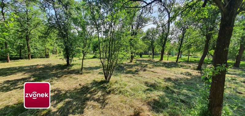 Prodej rodinného domu 300 m², Tečovice