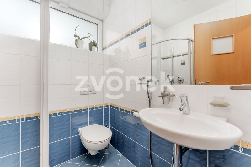 Velkorysá rodinná vila 7+1, 479 m², pozemek 1 503 m² – Zlín, Nivy IV