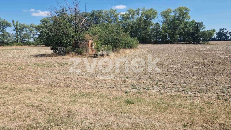 Prodej stavebního pozemku 598 m², Veselí nad Moravou