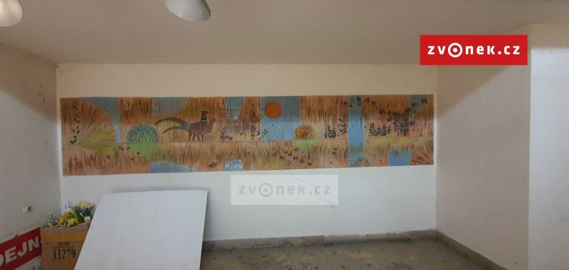 Pronájem obchodního prostoru 365 m², Hluk