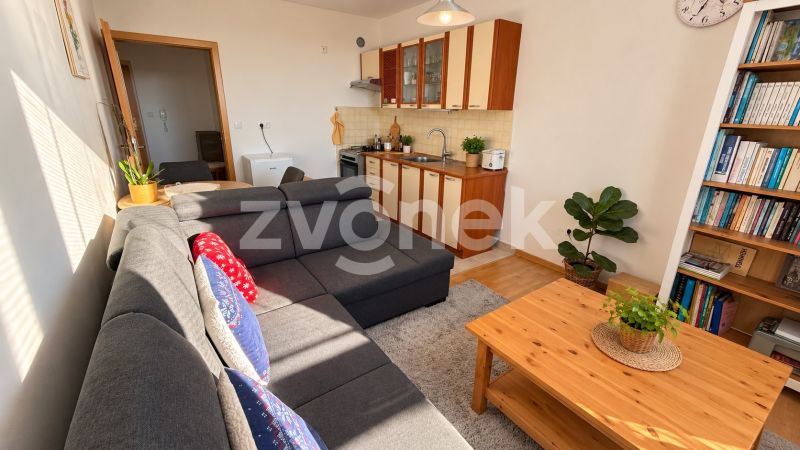 Pronájem bytu 2+kk 44 m², Zlín