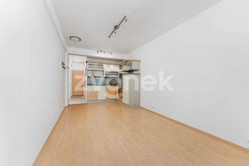 Pronájem bytu 1+kk 27 m², Zlín