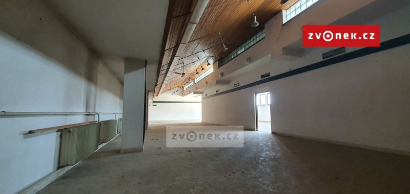 Pronájem obchodního prostoru 365 m², Hluk