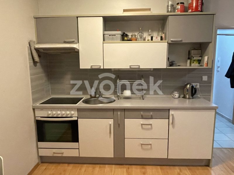 1+kk U Centrálního parku, Zlín s velkou terasou, vybavený