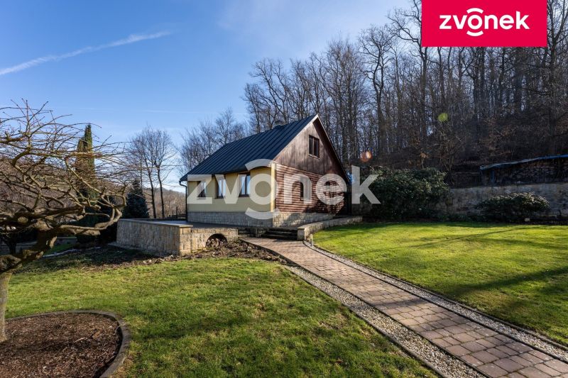 Víceúčelová vila 540 m², Hranice I-Město