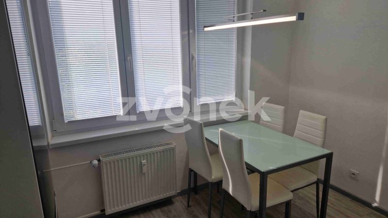 Pronájem bytu 2+1 po rekonstrukci, sídliště Kopánky, Staré Město