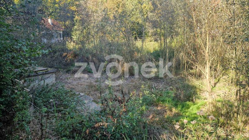 Prodej pozemku, les, rybník, mýtina 3 756 m² v obci Halenkovice
