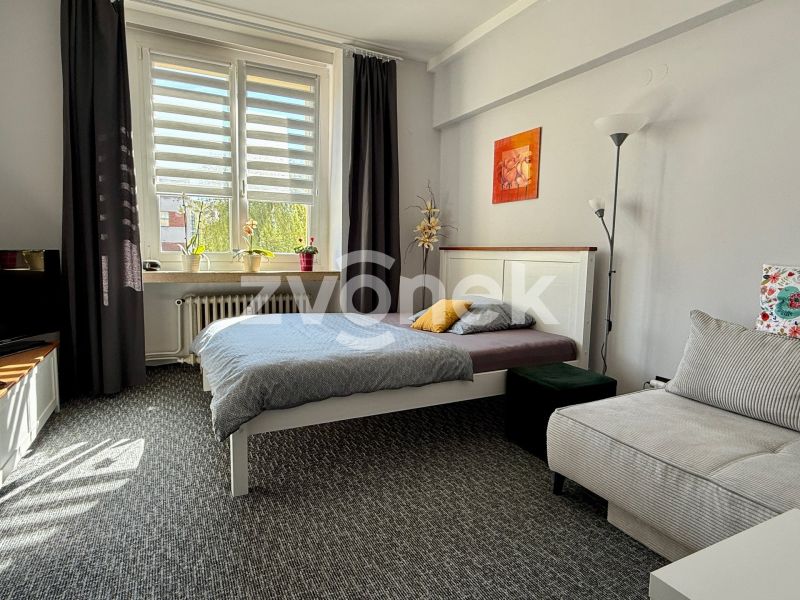 Pronájem bytu 1+1 35 m², Otrokovice