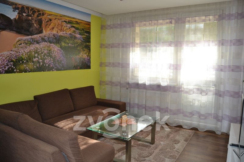 Pronájem bytu 2+1 66 m², Vsetín