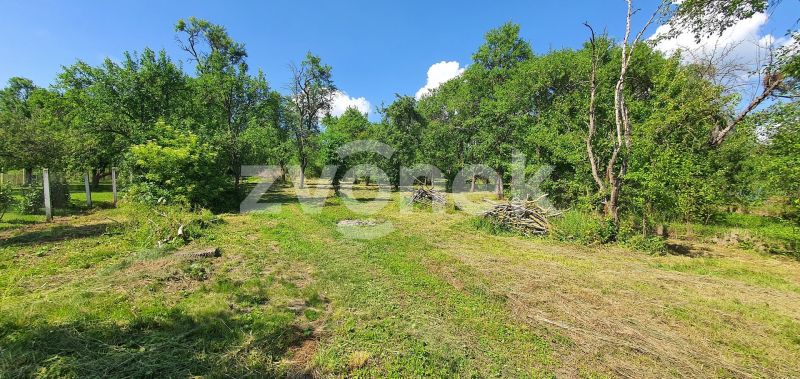 Prodej rodinného domu 300 m², Tečovice