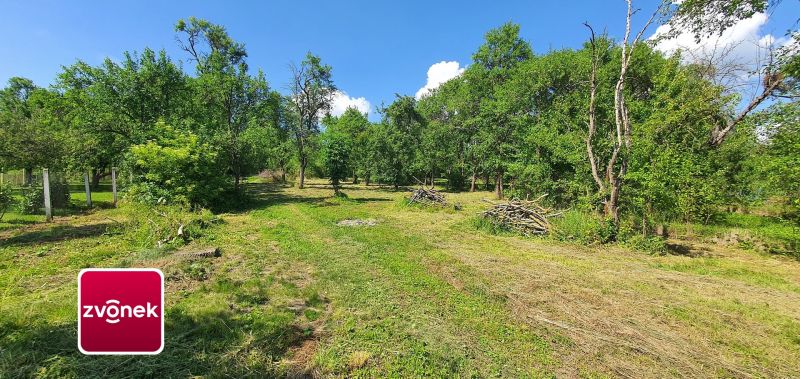 Prodej rodinného domu 300 m², Tečovice