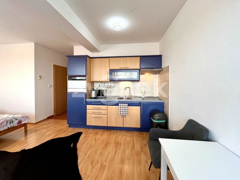 Pronájem bytu 1+kk 30 m², Zlín