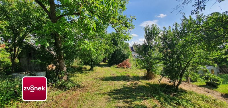 Prodej rodinného domu 300 m², Tečovice