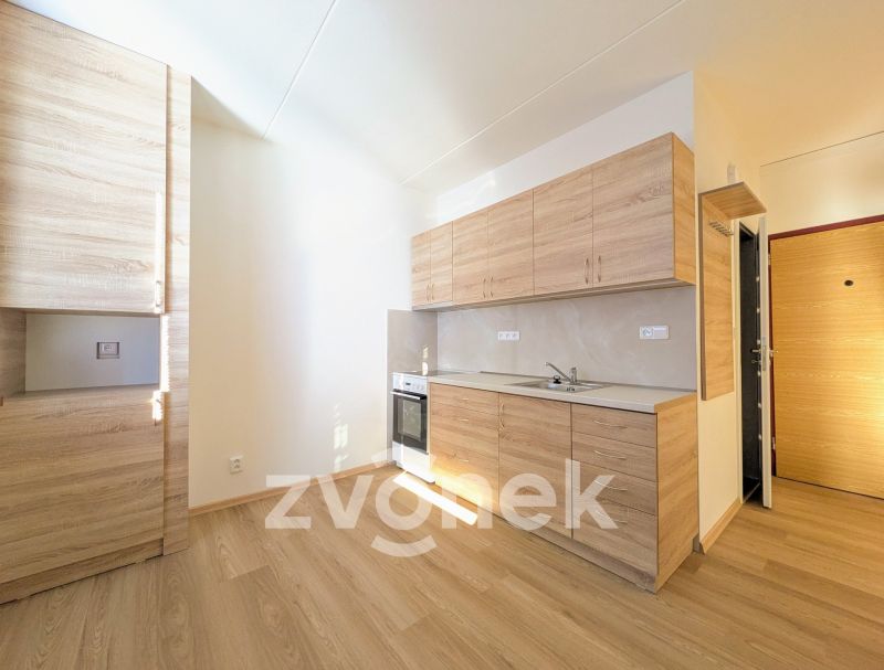 Pronájem bytu 2+1 43 m², Vsetín