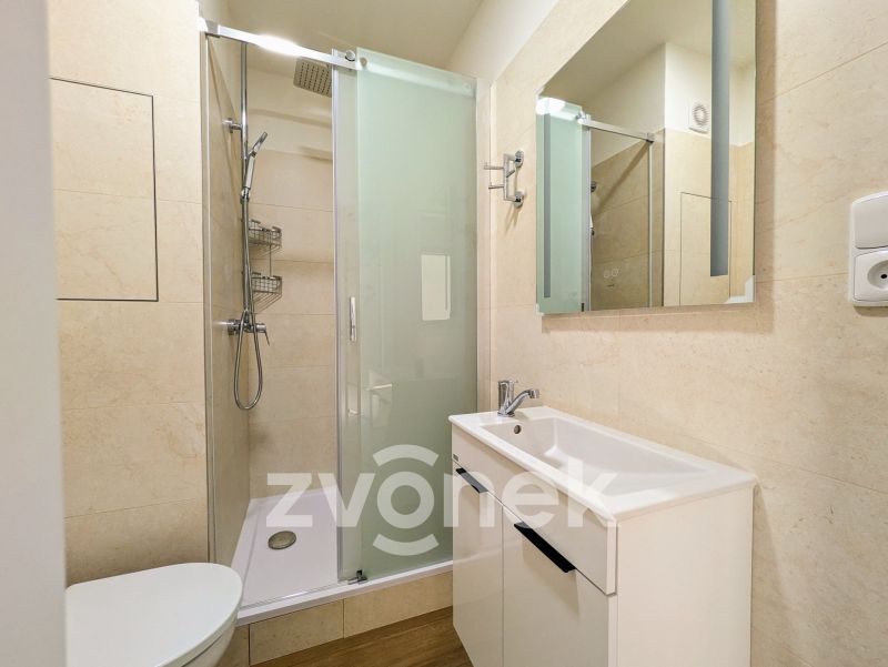 Pronájem bytu 2+1 43 m², Vsetín